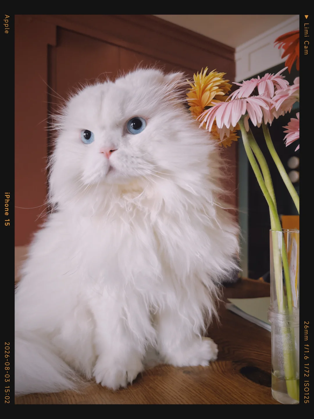 花花与p