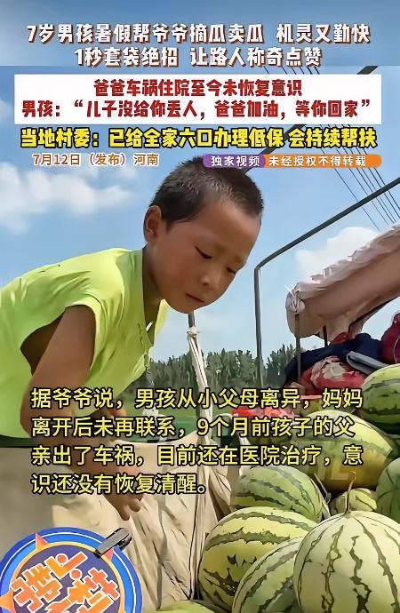 泪目！郑州给西瓜“一秒套袋”7岁男孩，一年级期末数学考了96！凌晨4.30起床，