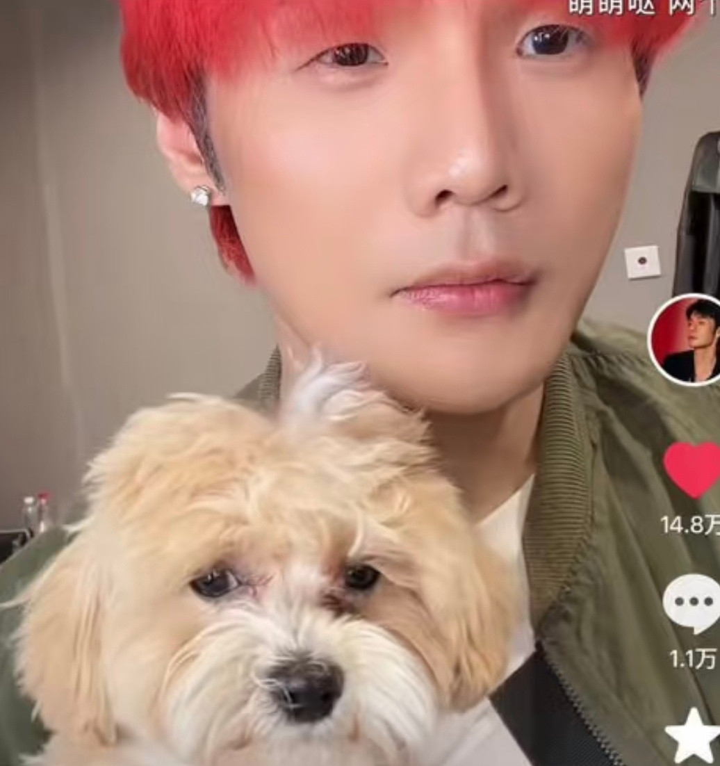 杨丞琳和李荣浩养的小狗，狗狗美不美容简直判若两狗！