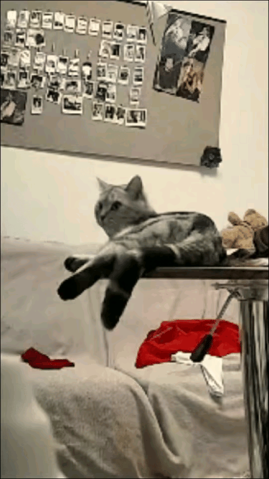 广东一女子发现邻居家着火，第一时间不是逃命，而是返回屋内，把2只小猫塞包里，然后