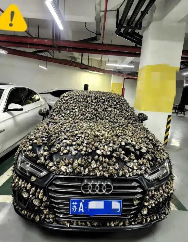 “一分钱不要，也得让你长记性！”业主车位被霸占10天，一怒之下做了这种事这事