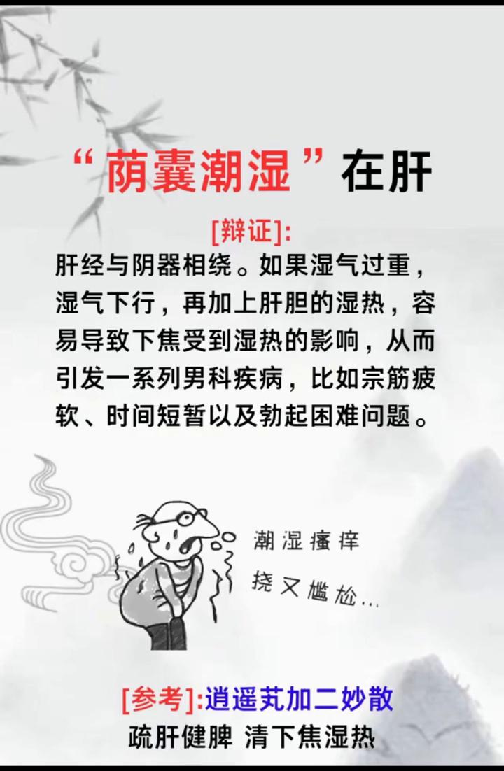 中医教你补肝疏肝清肝。·辩证：肝经与阴器相绕。如果湿气过重，湿气下行，再加上肝
