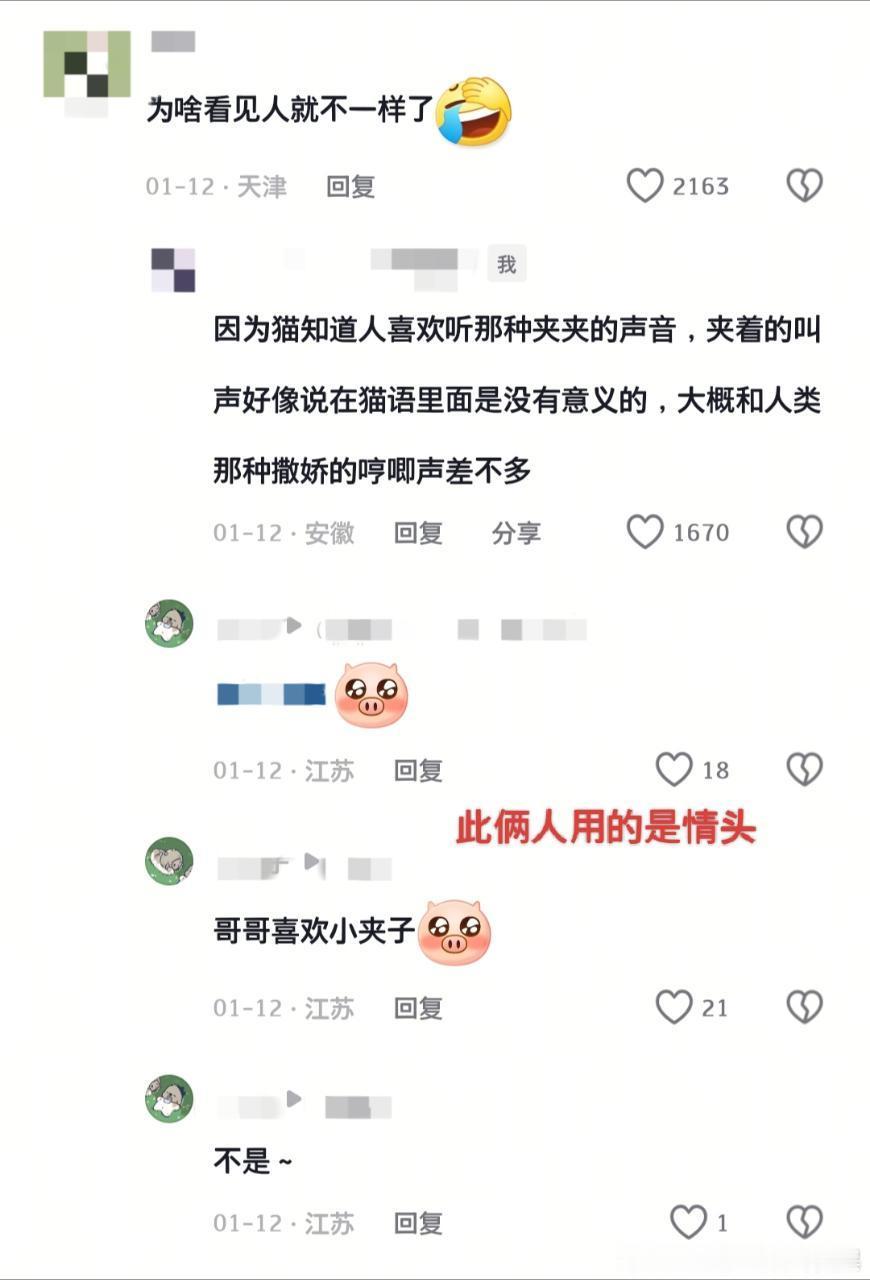 原视频是猫猫在人前人后叫声完全不一样，本人正经科普了一下结果被当成调情的工具了是