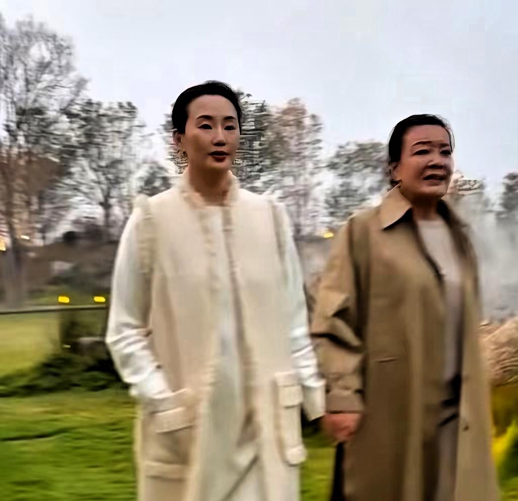 西华的院子：不止是豪宅，更是顶流社交的入场券我偶然刷到个视频，张兰去林依轮老婆