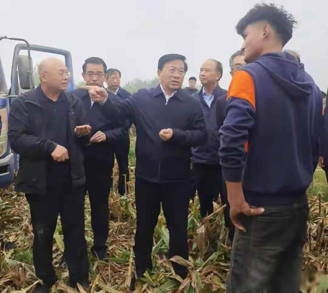 玉米发霉、机器陷泥，谁在抢收1.4万亿斤粮食？眼下正是粮食抢收的关键时候，