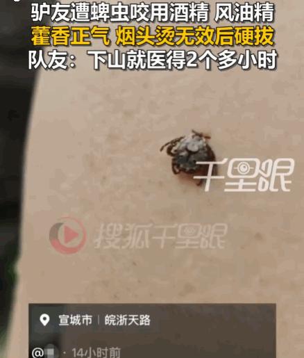 太可怕了！6月15日报道安徽宣城，一男子徒步至半山腰时，不幸被蜱虫紧紧咬住。因下