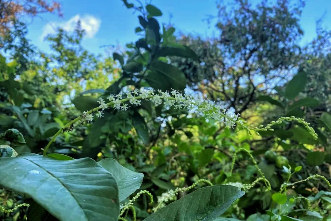 幸福其实很简单，就九个字：有家回，有人疼，有饭吃。所谓的岁月静好，不过是家中那碗