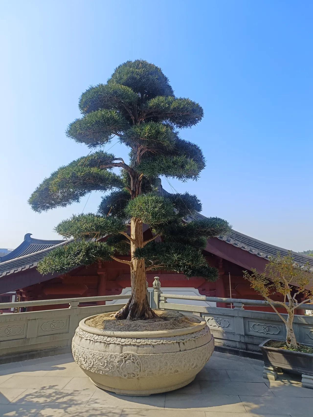 “拿捏”从来不是恶意算计他人的手段，而是成年人认清人性本质、守住自我边界、掌握关