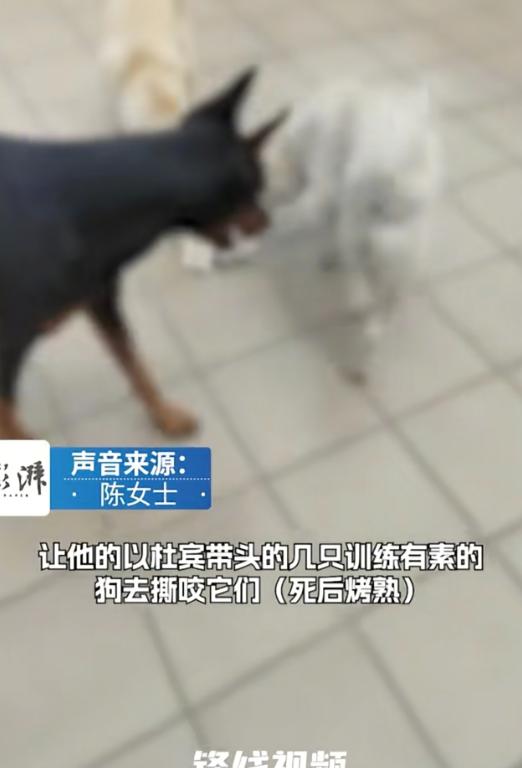 5月16日观威海报道，广东东莞，女子把养了多年的狗狗送给别人领养，谁知没过几天就