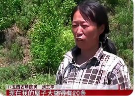 2006年，黑龙江一名女子在睡梦中，一条大蛇悄悄钻进了她的被窝。她吓得够呛，可看