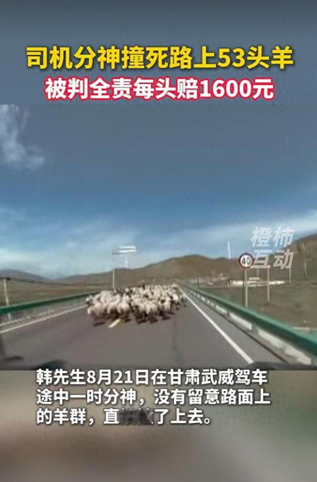 开车走了一下神，8万多元就没了！甘肃武威车主韩先生恐怕怎么也想不到，自己短短几秒