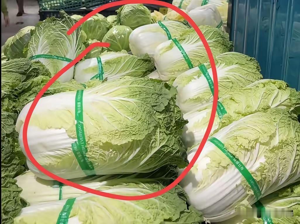 如今，真正有良心的菜农实在是寥寥无几了。他们自己不吃，专门把菜卖给别人，这和谋财