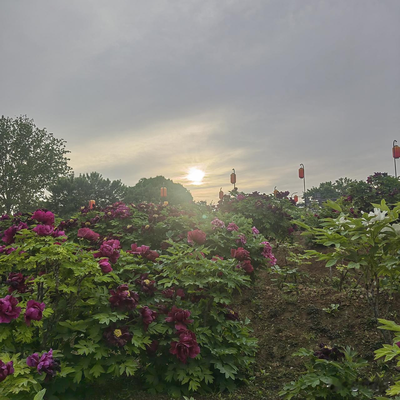 朋友的女儿国内二本院校本科毕业后自费去日本读了研究生，去年研究生毕业就直接在日本