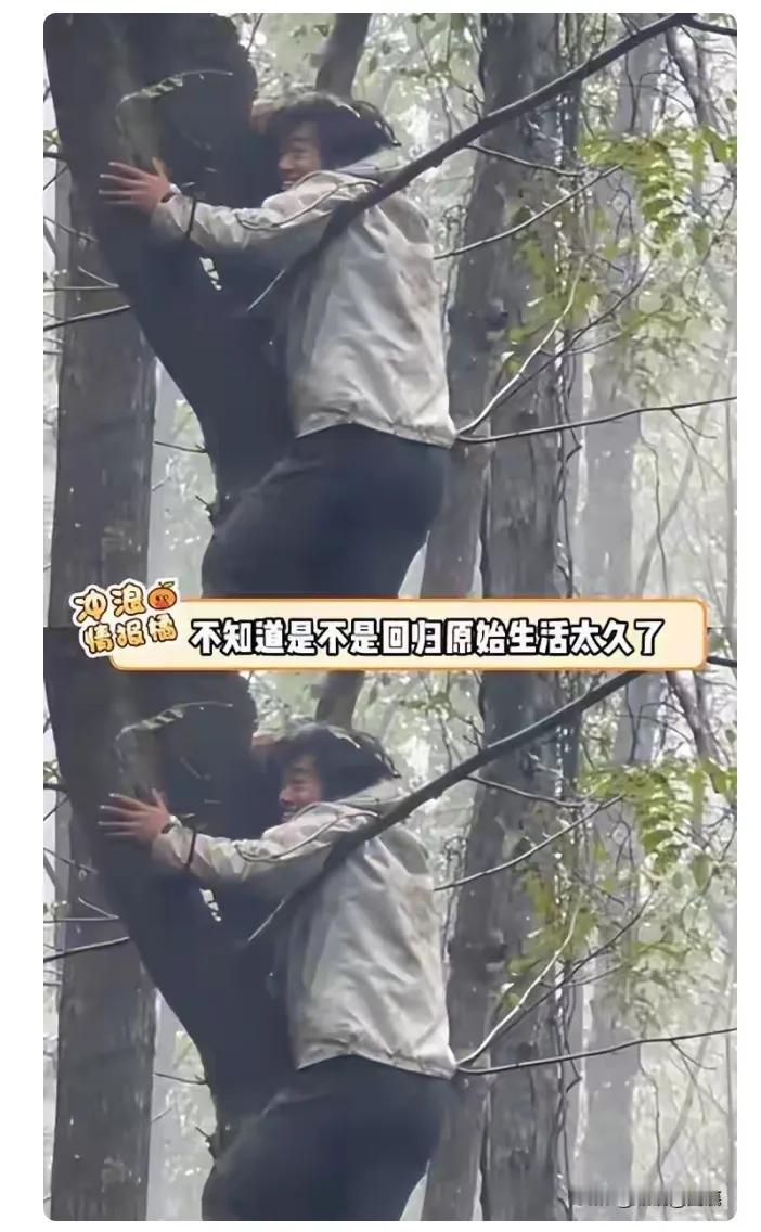 张家界这荒野求生决赛圈也太狠了!裤子穿成开裆。能没人遭*摸黑*这哪是比生