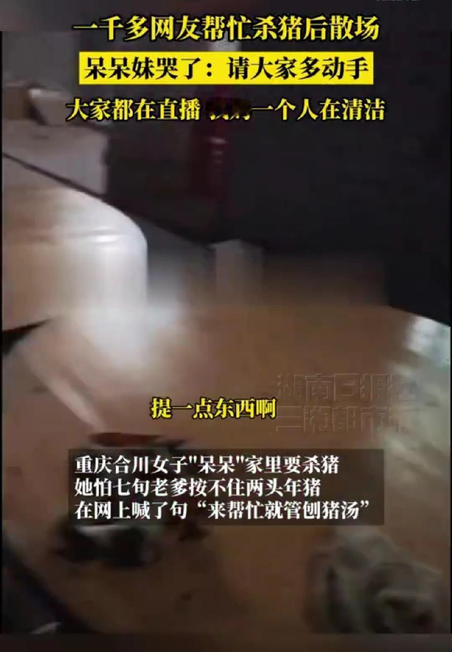 呆呆哭诉大家都在直播只有妈妈清扫我说句实话，她三天直播至少赚450多万，还没