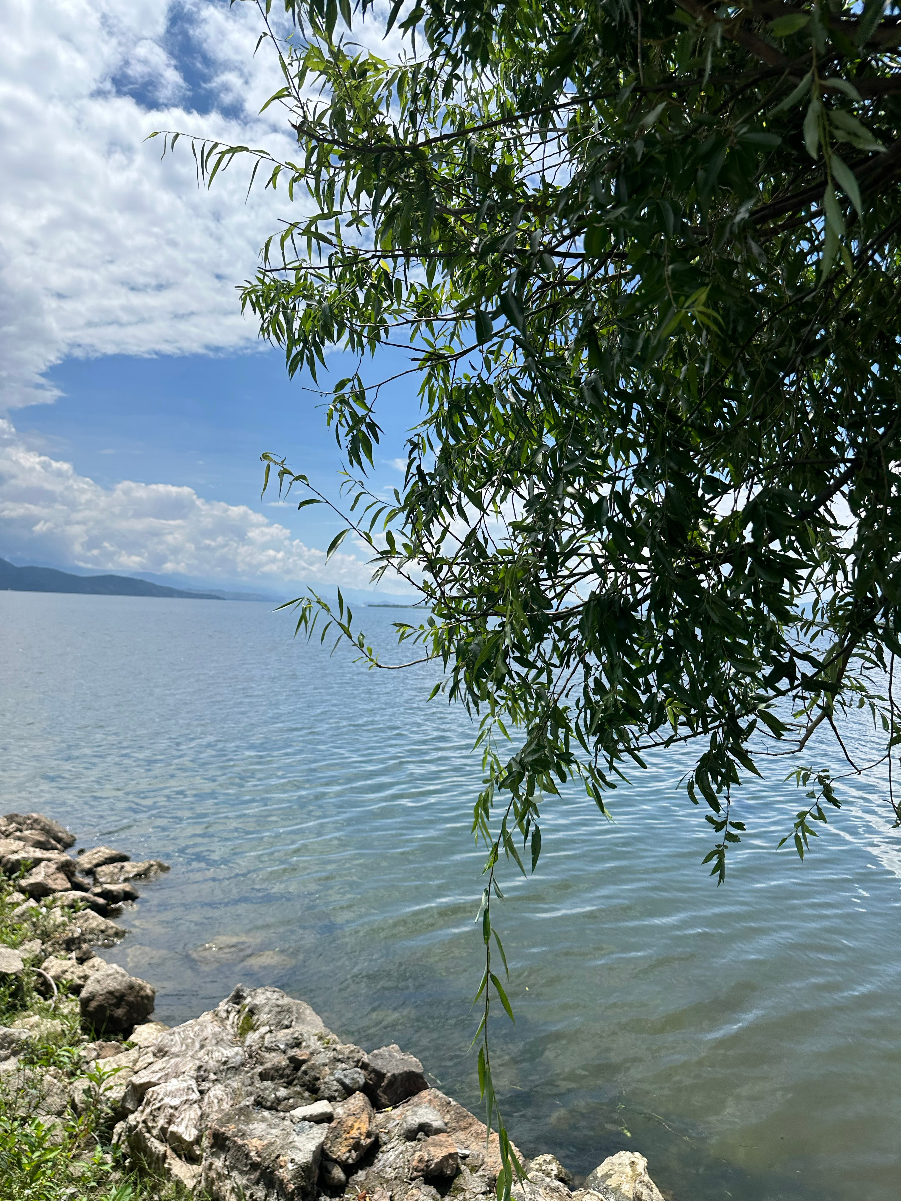 好看好晒