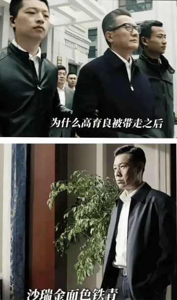 名义这部剧里老高还差一年就退休了，沙瑞金完全可以再等一年，等高育良一退，马上安排
