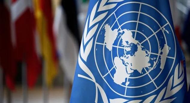 由于法国支持德国、日本、印度、巴西入常，所以在11月18日的联合国大会上，我们明