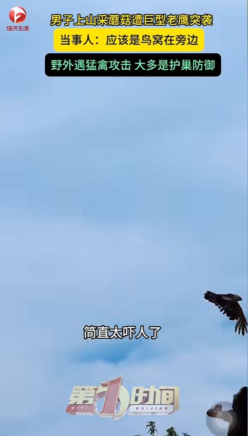 “万万没想到！”6月14日，重庆，一男子带着媳妇儿日常上山采蘑菇，没想到半路上遇