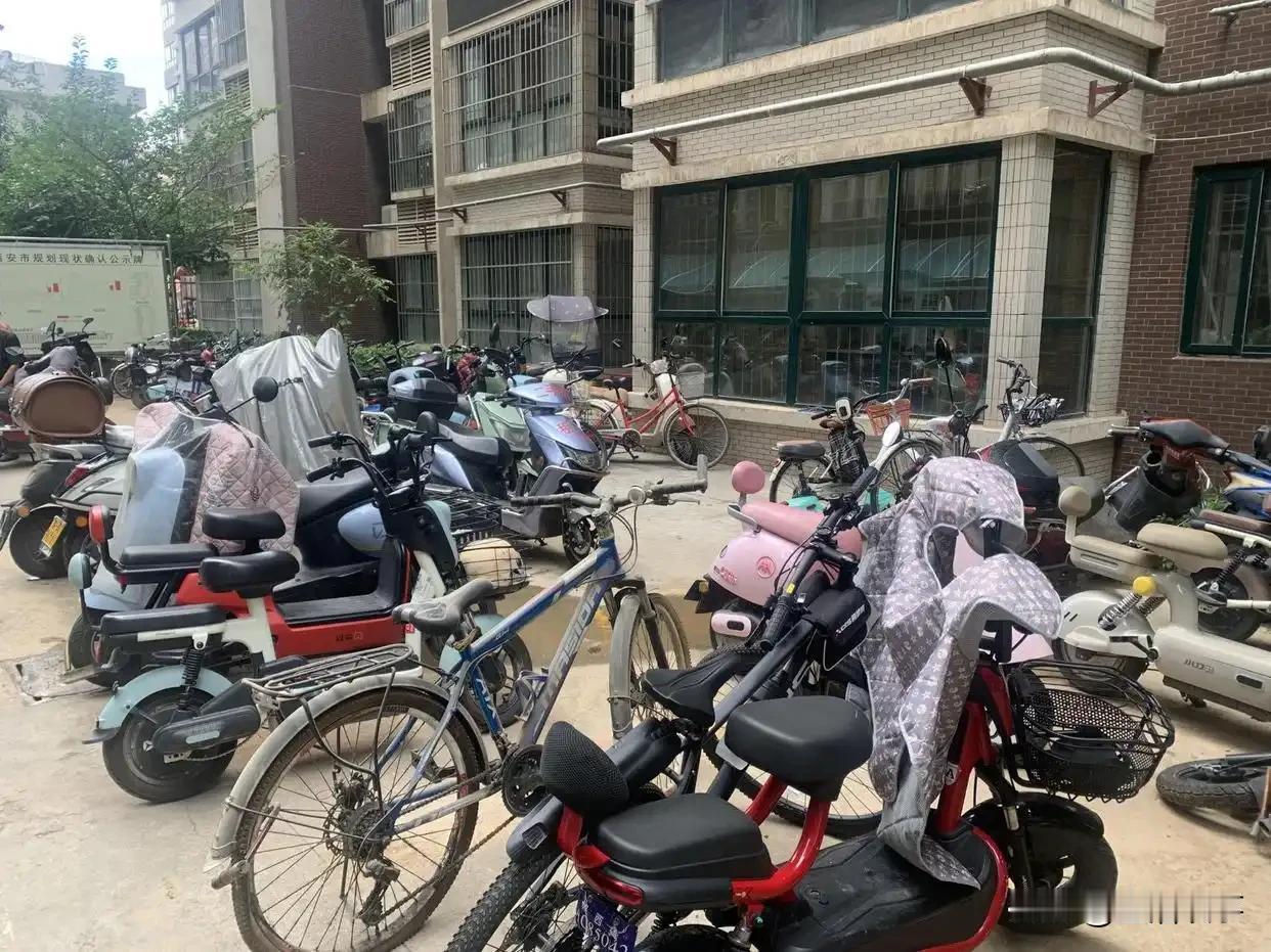 有些小区像村庄养鸡、养鸭、养狗、养猫，真猖狂单身单亲的居民因怕狗咬晚上不敢岀