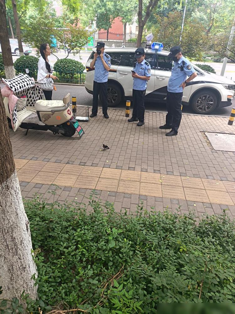 报警，淄博市民看到车道上有个大鸟不飞走，怕被撞伤，便报了警，警灯闪烁，警察看到这
