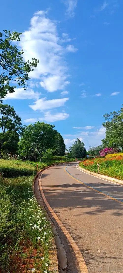 昆明滇池｜藏在城市里的“小瑞士”滇池湖畔的湿地公园，把山野浪漫搬进城市。澄澈湖水、葱郁湿地，水杉成排