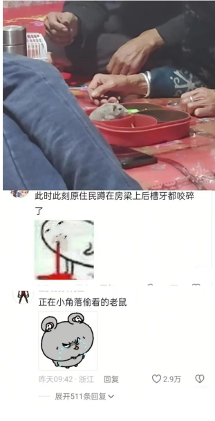 正在小角落偷看的老鼠