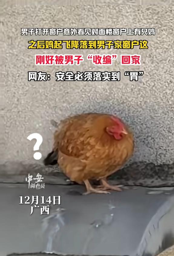“缘分到了挡都挡不住！”12月14日，广西，一男子开窗透气，发现对面楼窗沿上有只