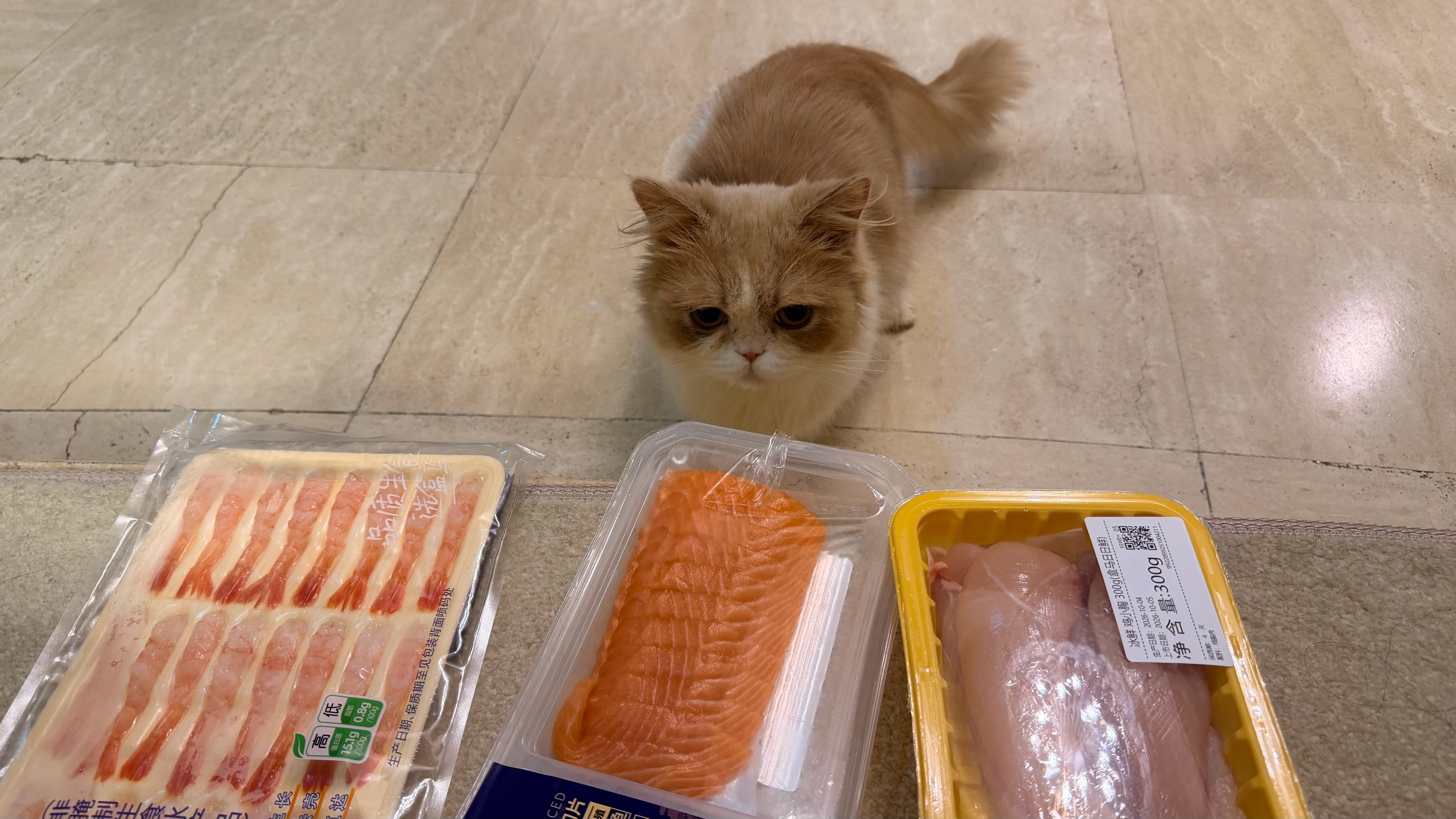 今日菜谱：甜虾、三文鱼、鸡胸肉喜宝：先从三文鱼开始吧​​​