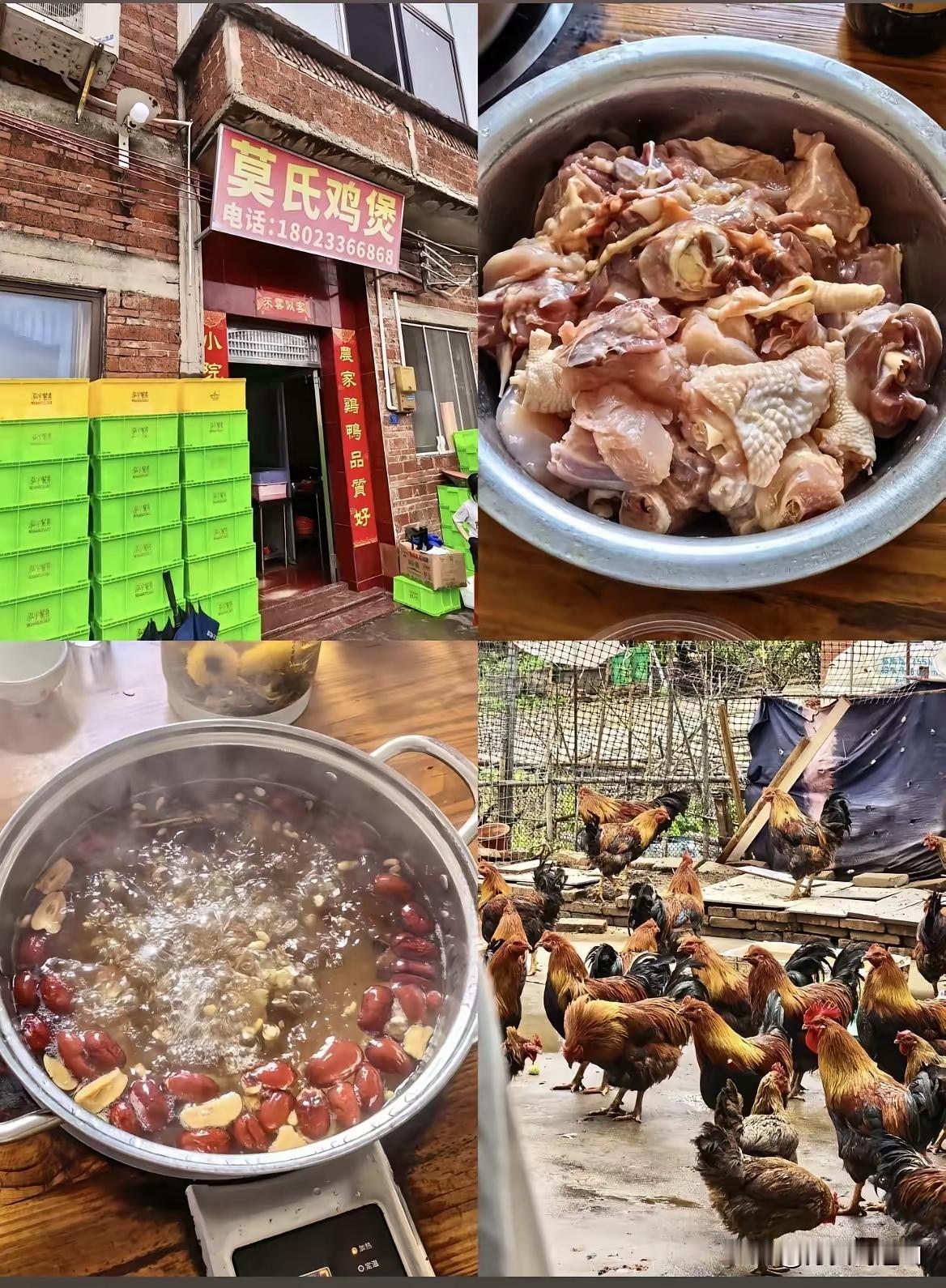 老莫家鸡煲：越劝退越火，这泼天流量挡不住广东顺德莫氏鸡煲，凭一己之力把“反