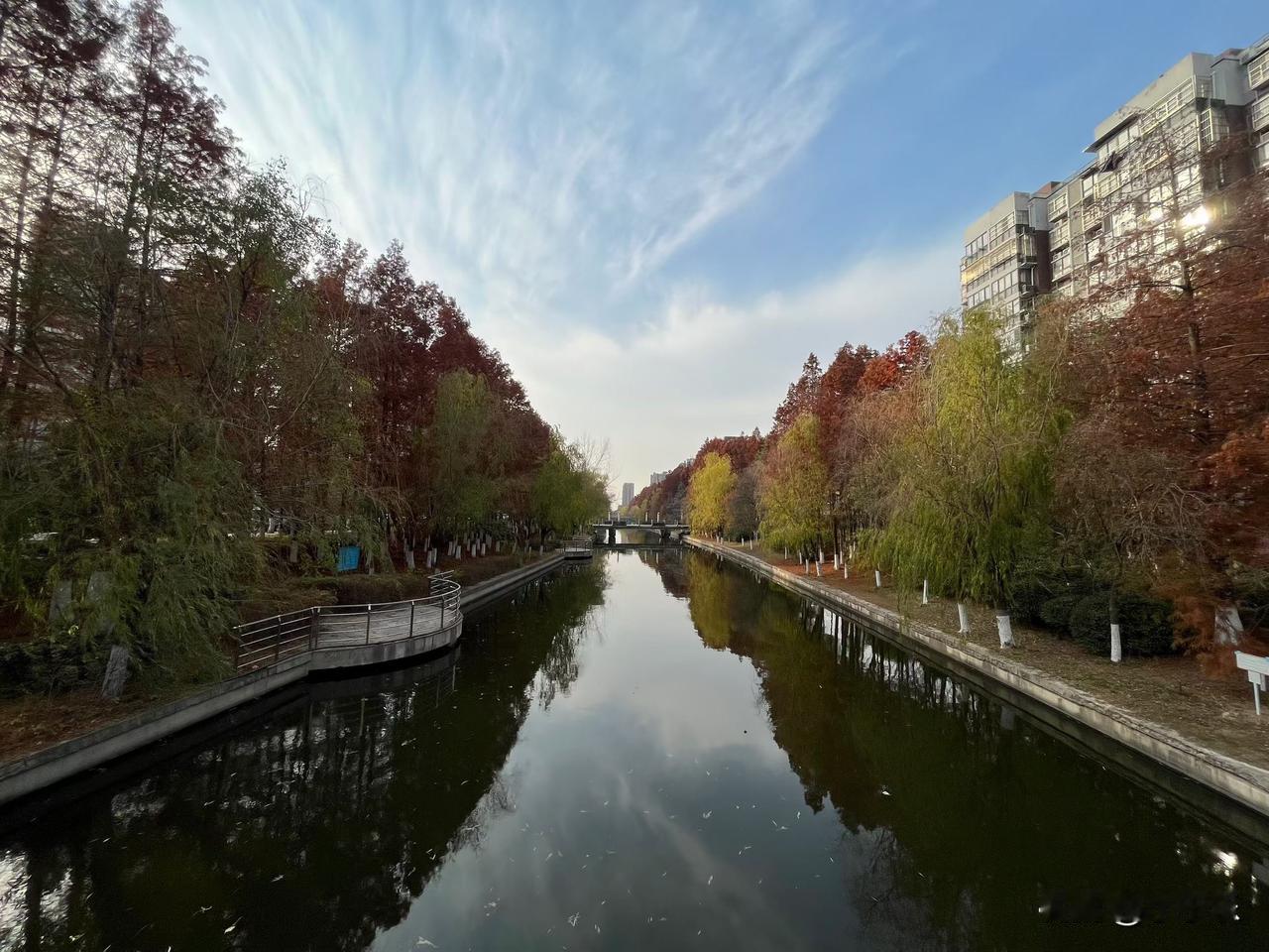 老父亲去年走了，81岁的老母亲每天晚上嫌孤寂害怕，都让我和二姐轮流去她家陪她到晚