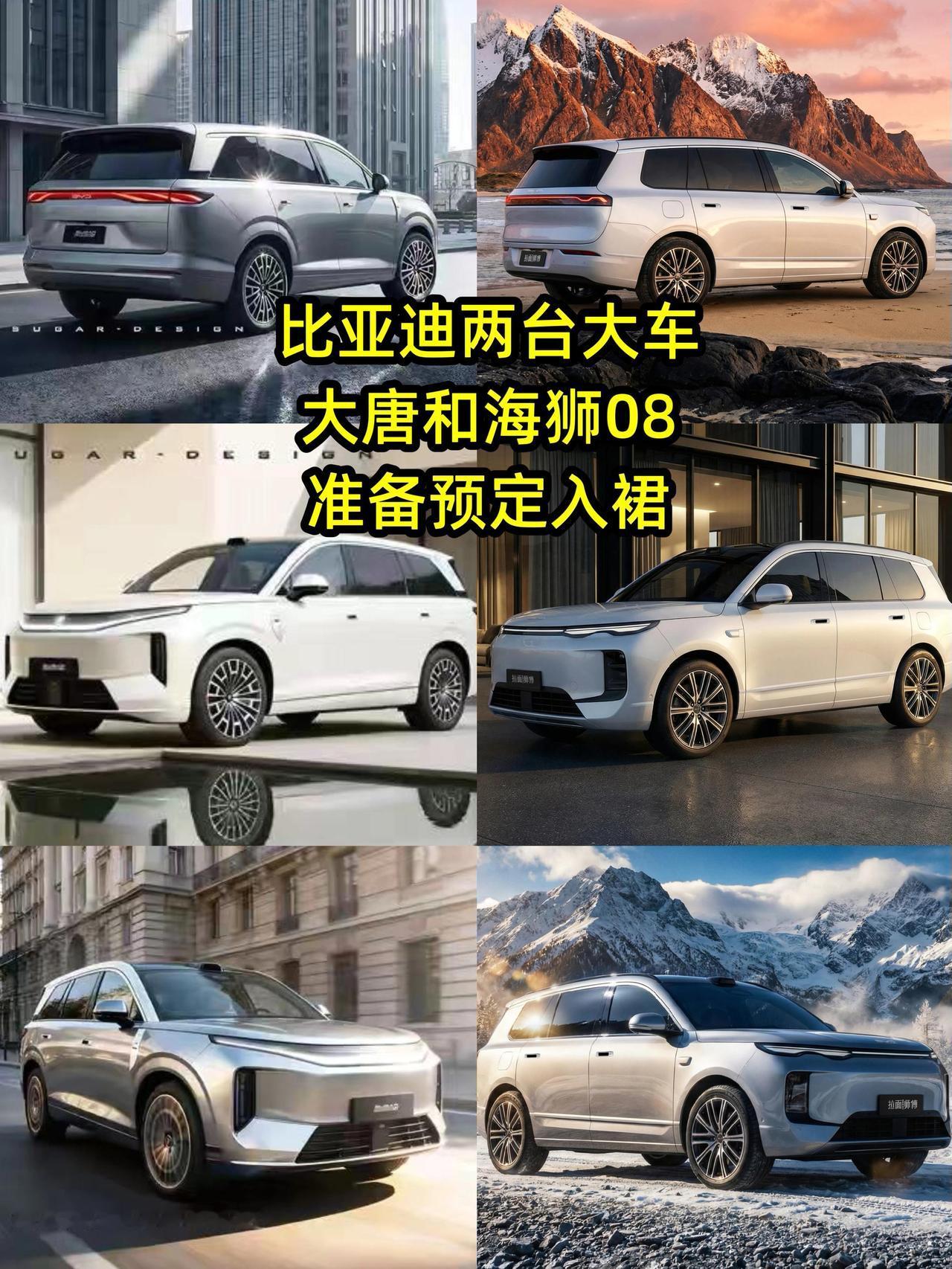 比亚迪两台大车大唐和海狮08准备预定入裙