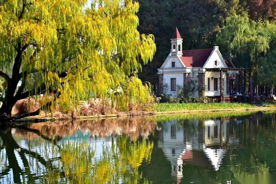 我跟你说个真事儿。一个30多岁的单身姑娘，把自己端得跟个女皇似的，硬是输给了一