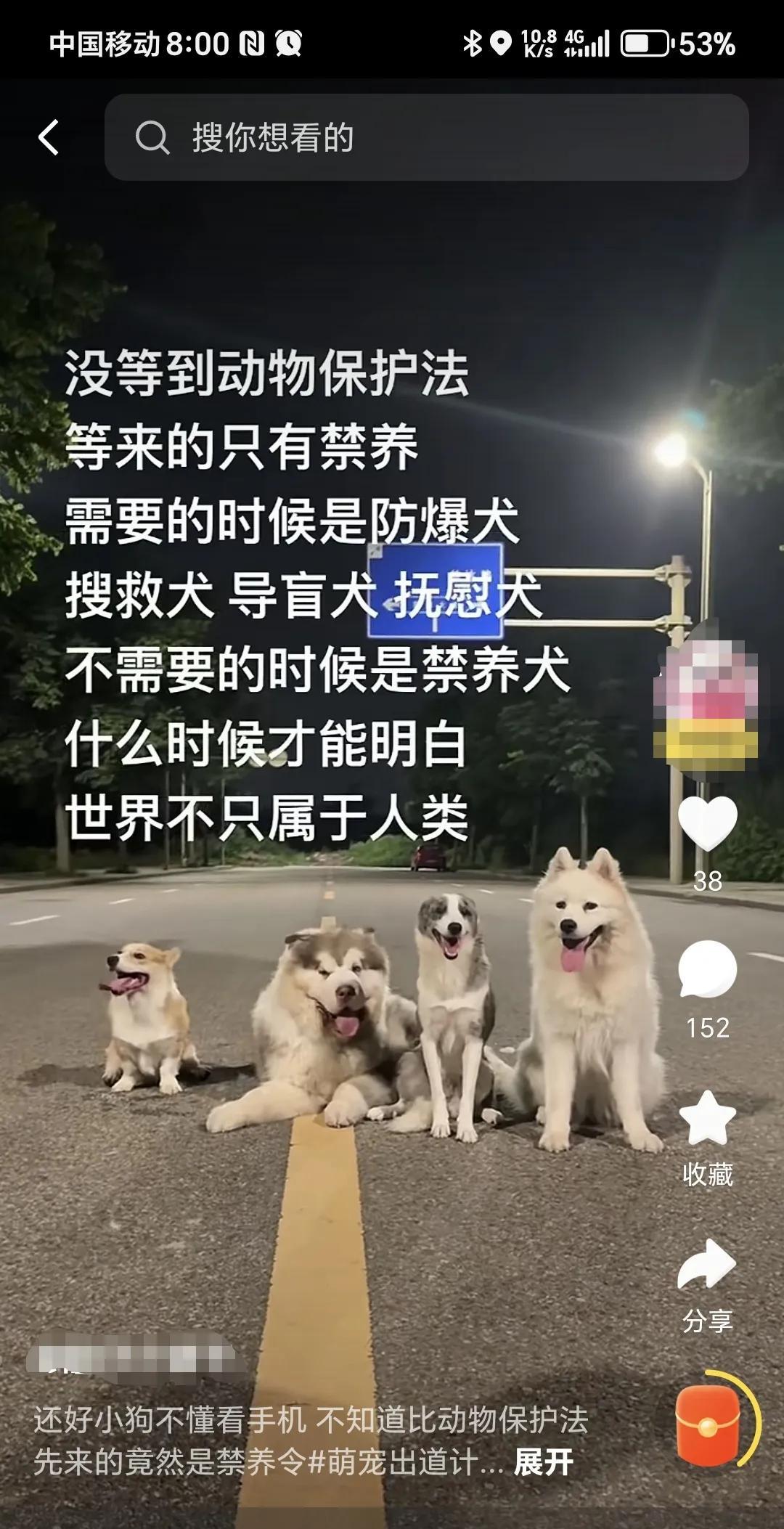 没有等来猫狗保护法，却等来了违规养狗处罚明年元旦后升级。这让养狗的人破防了，发