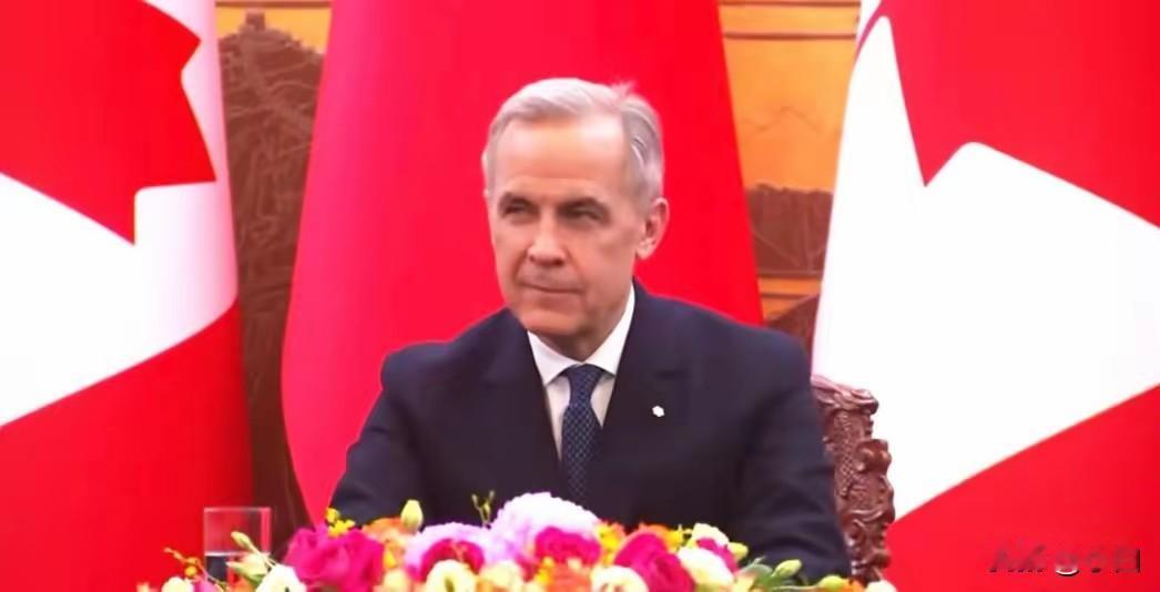 现场签约，中国和加拿大稳了!​2026年1月15日，北京人民大会堂，就在所有媒