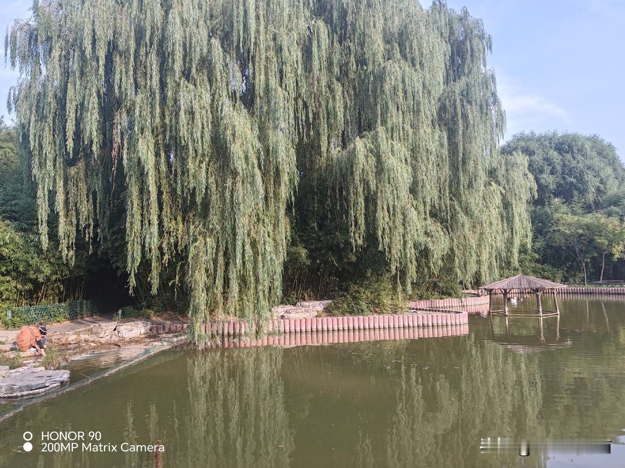 军校毕业六年，遭遇两次大裁军，彻底打乱我的军旅前程，如今回想满是怅然1997年