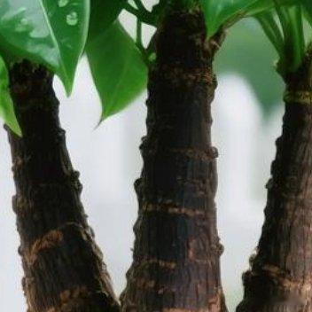 春风吹起一池春水，泛起幸福的涟漪，春雨滋润满园花开，散发甜蜜的芬芳，春阳照耀万物