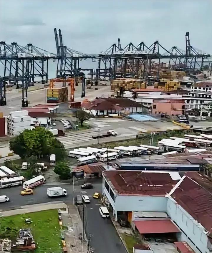 终于轮到我们抡制裁大棒！精准敲打航运双巨头，这波反制太解气！又准又狠，真香！