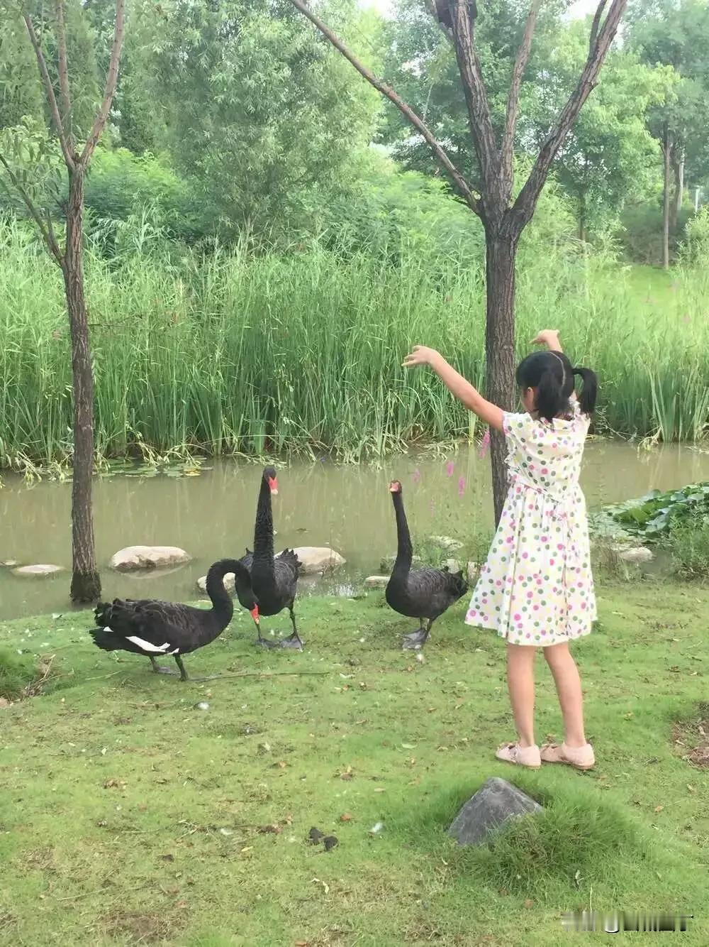 女儿今天就要一个人去长隆晃了，高兴地喊：“哇哦，妈咪，太开心啦。”我也开心，