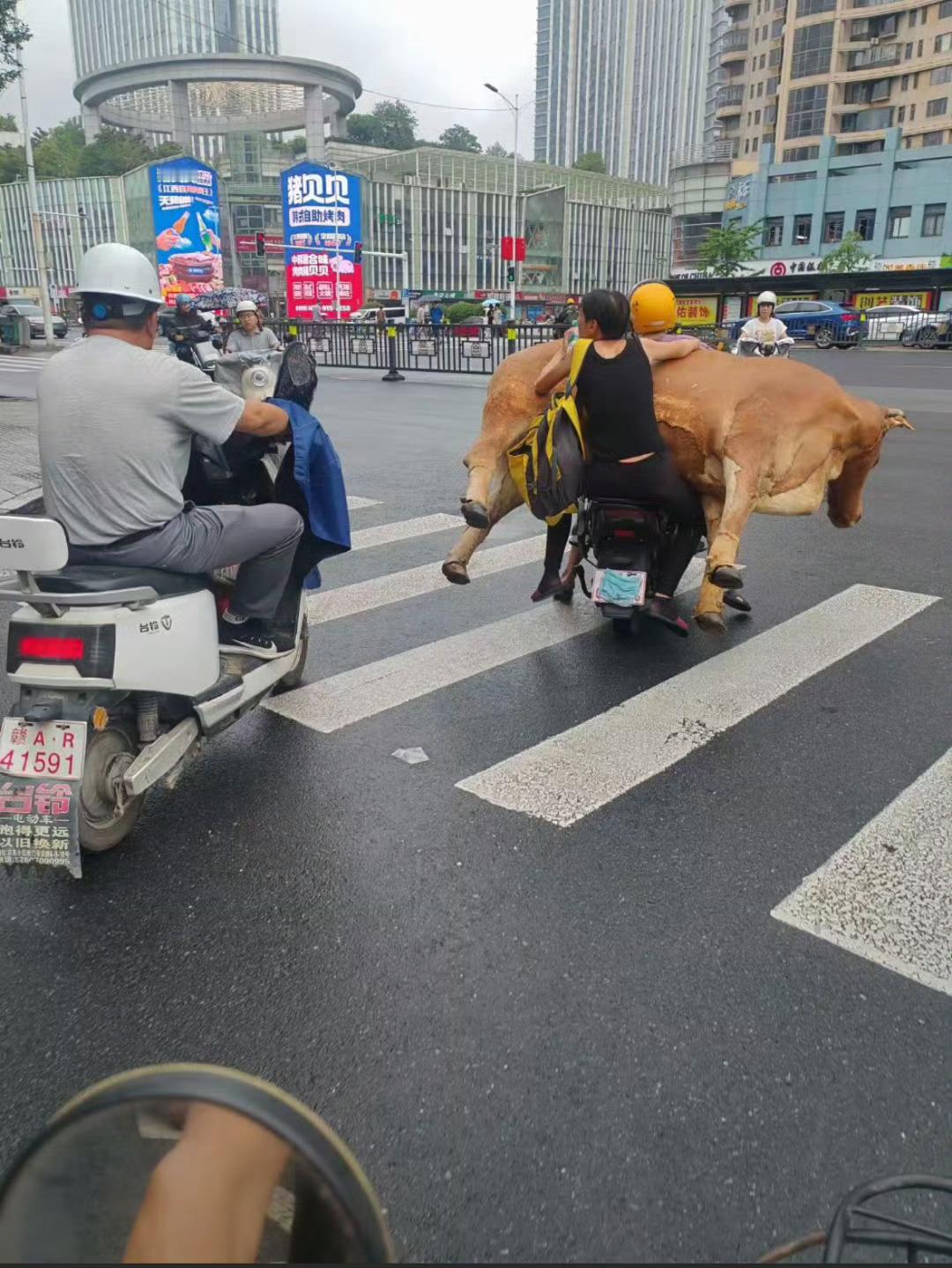 就问你牛不牛？[doge][doge][doge]​​​
