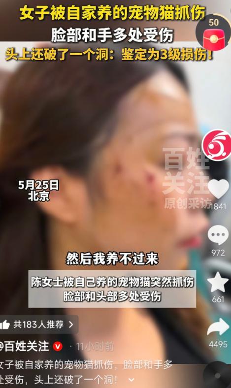 太惊悚了！5月28日齐鲁晚报权威报道，北京一名铲屎官家中，一只平日里温顺黏人、爱