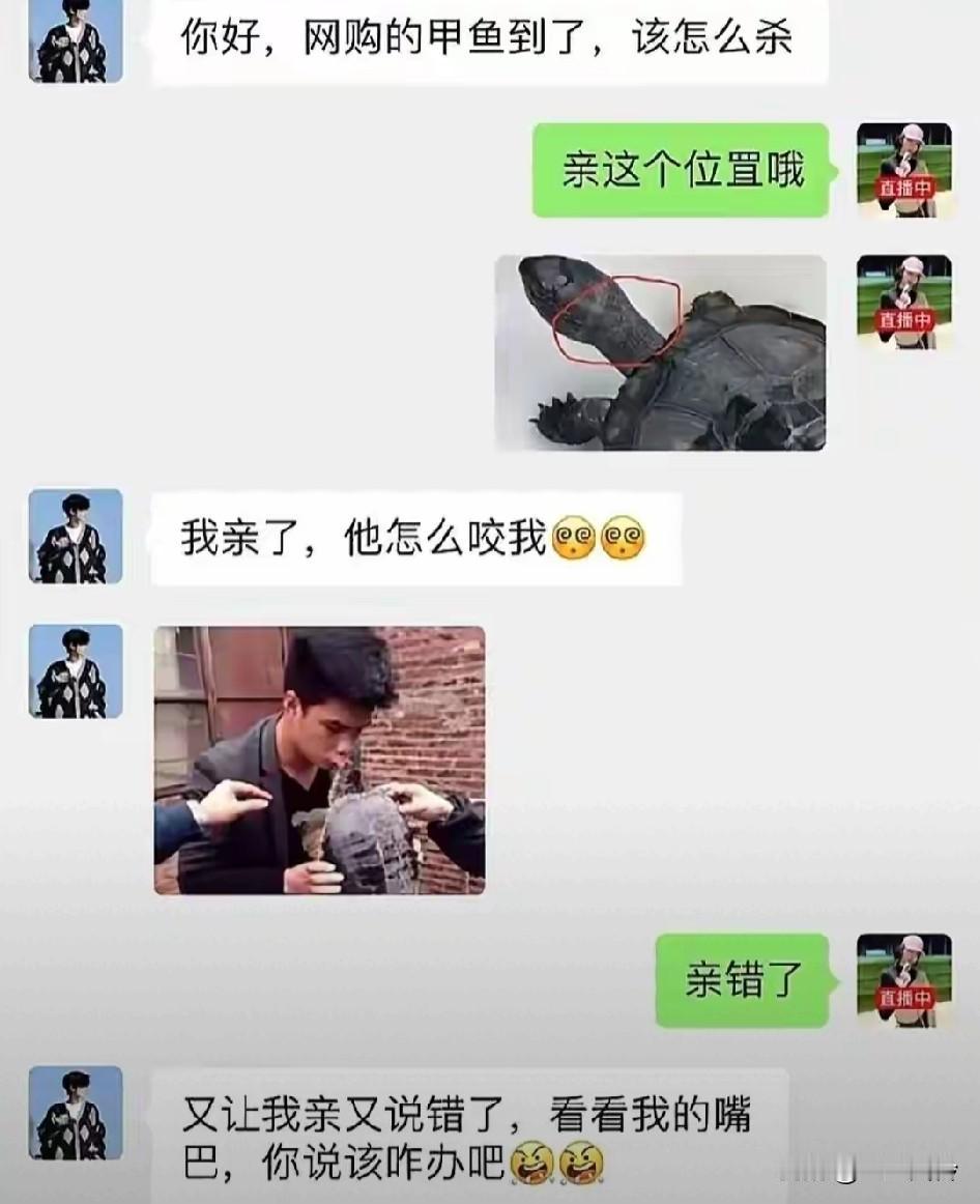 甲鱼收到货了问客服咋处理，客服指着脖子说：亲这里！下秒男子嘴巴就被甲鱼咬了，客服