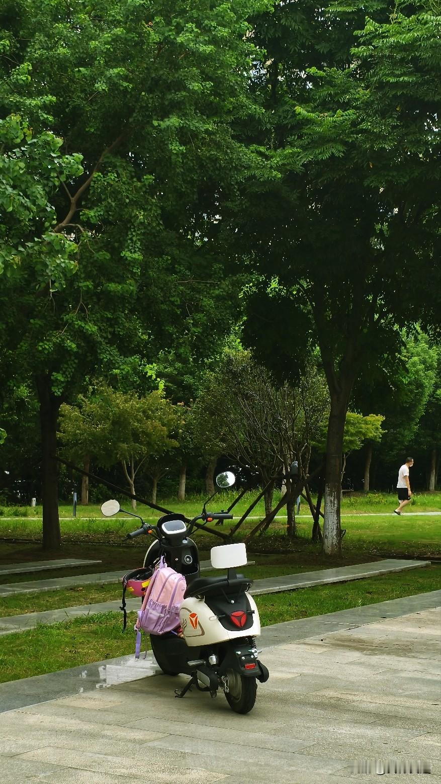 这次18号台风沙德尔的走位真的太磨人了，来来回回兜了好几天，今早6:30前后终于