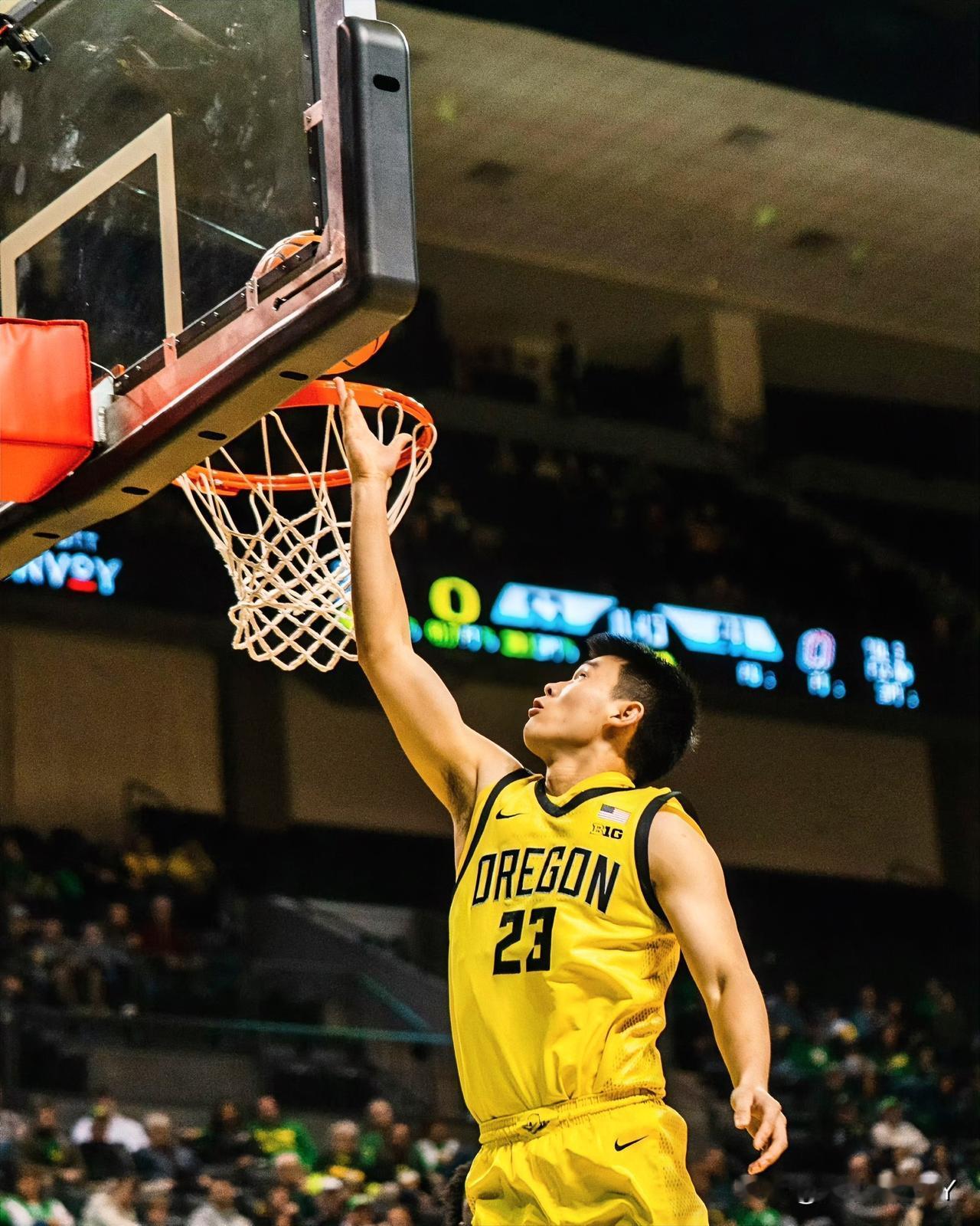 直到看完林葳今天的比赛我才发现原来好教练真的能让球员变得更加优秀！NC