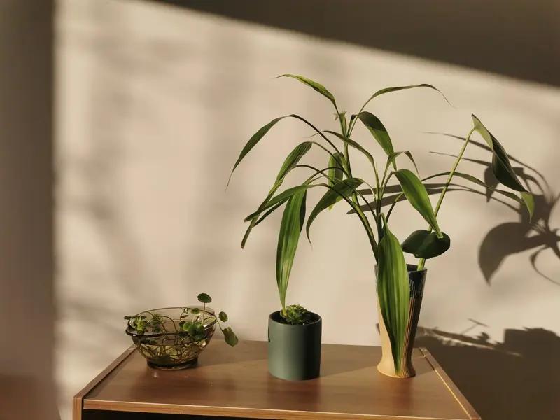 一个人好的人生状态是什么?一个人好的人生状态，我觉得是内在平和自洽，对生活满怀