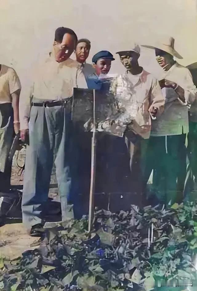 谢谢您的上联！[赞]这是博主为伟大领袖毛主席量身定做的上联！我试对一下！[作揖