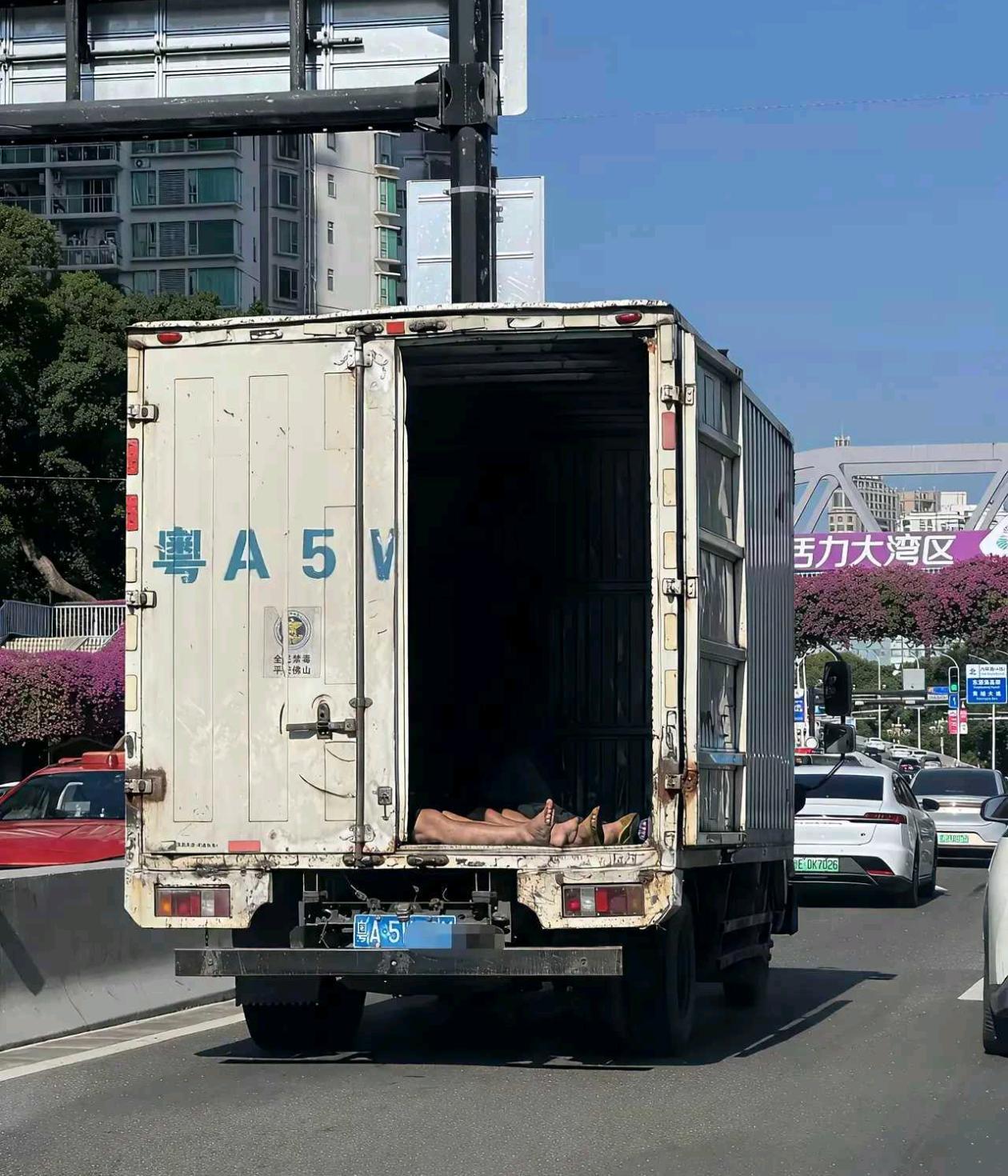 后车司机看到还不得报警这也太恐怖了吧