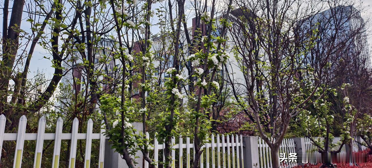 祸从口出｜职场里“会说话”的人，活得有多爽？你有没有因为一句话，得罪过同事、