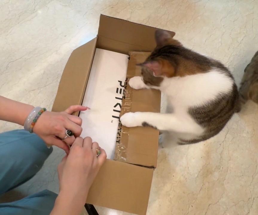 在小猫咪的努力下终于安好了饮水机和喂食器，好好用，感谢@PETKIT小佩的节日