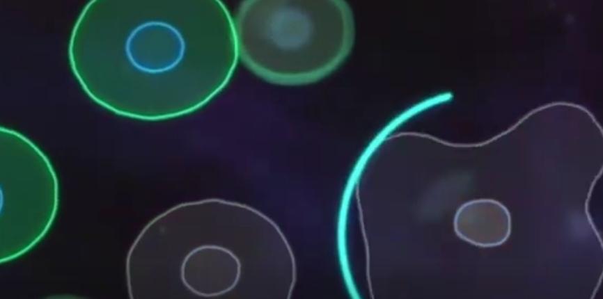 1月6日，马斯克在Moonshots播客节目中表示，人类可以实现半永生，如果能“